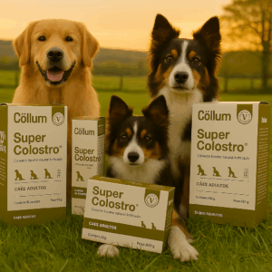 COLOSTRO BOVINO PARA PETS - 4 CXS - R$49,00 de economia