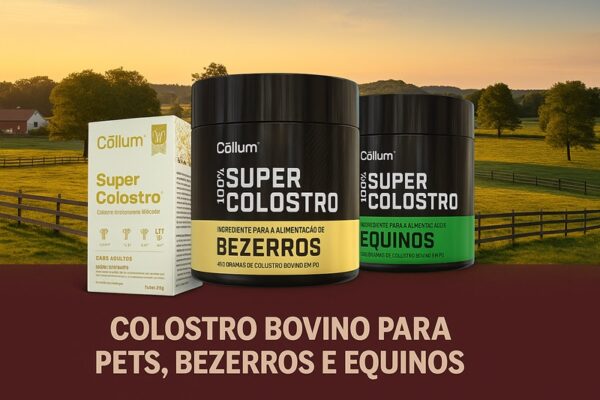 Colostro bovino para Bezerros - Image 3