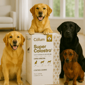 COLOSTRO BOVINO PARA PETS